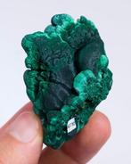 Stalactites de malachite bien définies avec Chantilly -, Collections