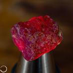 Natuurlijk robijnrood kristal, onbehandeld, Birma 31,05 ct-