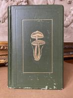 George Massee - British Fungi With a Chapter on Lichens. {40