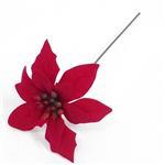 Kerstster Kerstroos Rood losse bloem Per stuk Kerstster Rood, Huis en Inrichting, Woonaccessoires | Kunstplanten en Kunstbloemen