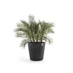 NIEUW - Ecopots Amsterdam Wheels 60 cm antraciet, Tuin en Terras, Bloempotten, Verzenden, Nieuw