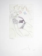 Salvador Dali (1904-1989) - Henry IV