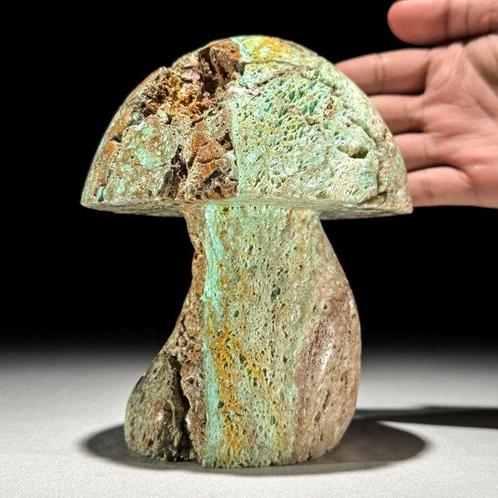 PAS DE PRIX DE RÉSERVE - Sculpture de champignon Smithsonite, Antiek en Kunst, Kunst | Designobjecten