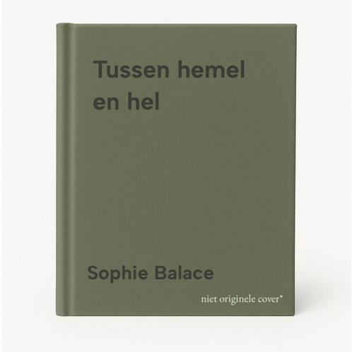 Tussen hemel en hel 9789061539582 Sophie Balace, Boeken, Kunst en Cultuur | Beeldend, Gelezen, Verzenden