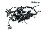 Kabelboom Ducati Diavel 2015-2018 (51019541D), Motoren, Verzenden, Gebruikt