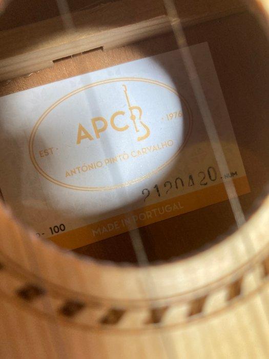 APC Instrumentos. - MOD 100 - - Ukulele - Portugal (Zonder, Muziek en Instrumenten, Blaasinstrumenten | Blokfluiten