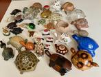 Beeldje - Collectie schildpadden, schildpad set (40) - Glas,