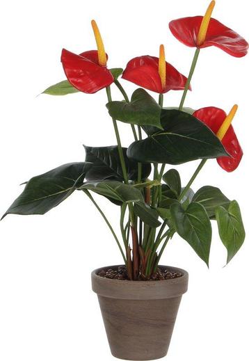 Tweedekans | Mica Decorations Kunstplant Anthurium - rood - beschikbaar voor biedingen
