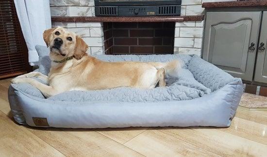 Luxe Hondenbed van Kunstleer - Stijlvol en Comfortabel -..., Dieren en Toebehoren, Hondenmanden, Nieuw, Leer, Ophalen of Verzenden