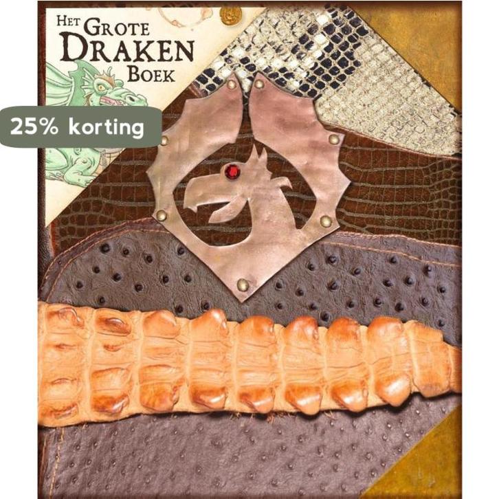 Het grote drakenboek / Flin & Flo 9789462771536, Boeken, Kinderboeken | Jeugd | 13 jaar en ouder, Gelezen, Verzenden