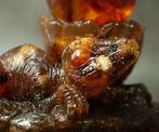 Dinosaurus Baltisch amber beeldje dat een amber ei met