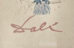 Salvador Dali (1904-1989) - La chouette bleu