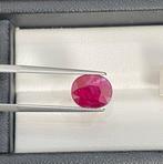 Zonder Minimumprijs Rood Robijn - 2.56 ct - Bellerophon, Nieuw