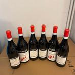 2024 Boroli, Langhe Nebbiolo - Piedmont DOC - 6 Bouteilles, Verzamelen, Wijnen, Nieuw