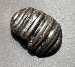 Oud-Romeins Glas Grote centrale kraal gevormd als een schelp