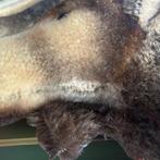 Steiff - Pluche dier Steiff Moosy / Mossy – Mohair Elk –