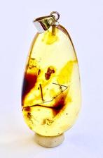 Authentiek Baltisch amber met fossiel insect VLUCHT-inzet,, Nieuw