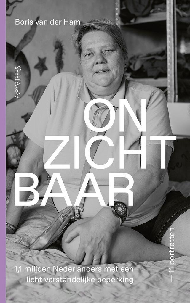 Onzichtbaar 9789044661217 Boris van der Ham, Livres, Science, Envoi
