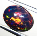 Cts. 2.40 Natuurlijke Ethiopische zwarte opaal Cabochon -, Verzamelen