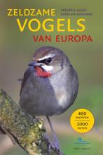 Zeldzame vogels van Europa 9789050116411 Aurélien Audevard, Boeken, Verzenden, Zo goed als nieuw, Aurélien Audevard