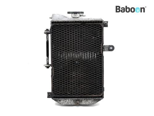 Radiateur Suzuki AN 650 Burgman 2002-2004 (AN650), Motoren, Onderdelen | Suzuki, Gebruikt, Verzenden