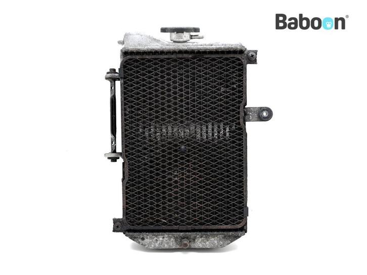 Radiateur Suzuki AN 650 Burgman 2002-2004 (AN650), Motoren, Onderdelen | Suzuki, Gebruikt, Verzenden