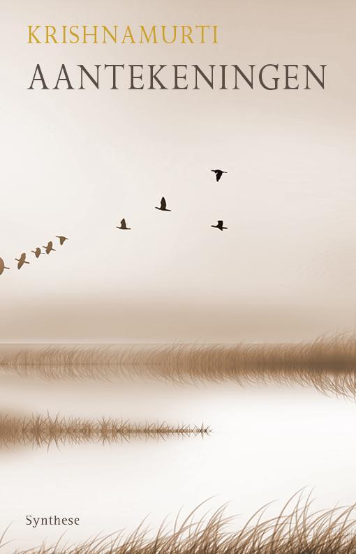 Aantekeningen 9789062711499 Jiddu Krishnamurti, Boeken, Filosofie, Gelezen, Verzenden
