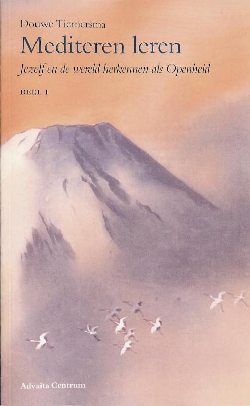 Mediteren leren 9789080573963 D. Tiemersma, Boeken, Esoterie en Spiritualiteit, Zo goed als nieuw, Verzenden