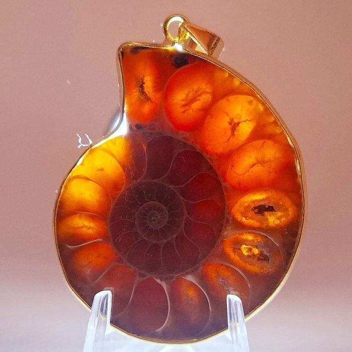 Verguld - Hanger - Ammoniet fossiel., Verzamelen, Mineralen en Fossielen