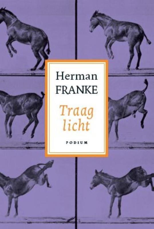 Traag licht / Voorbij ik en waargebeurd / 3 9789057594045, Boeken, Romans, Zo goed als nieuw, Verzenden