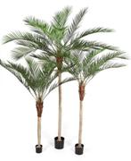 Kunstplant Phoenix Palm Plastic 180 cm, Huis en Inrichting, Kamerplanten, Verzenden