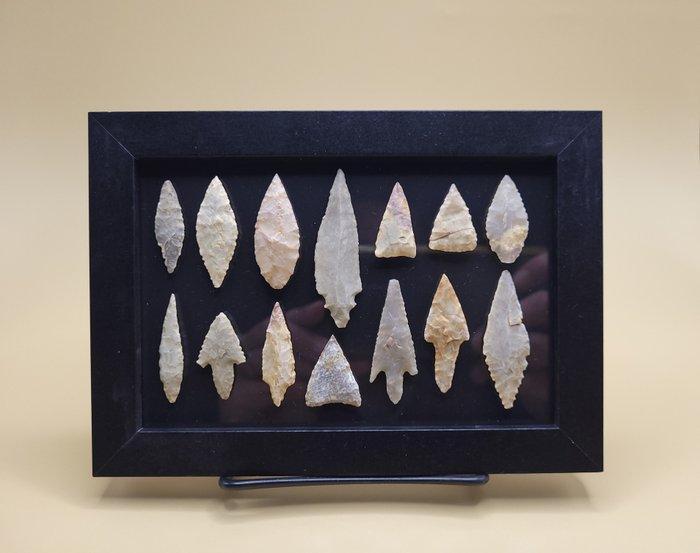 Neolithisch Vuursteen Verzameling van 14 neolithische, Verzamelen, Mineralen en Fossielen