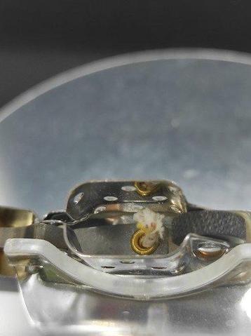 Zippo - Jack Daniels gold - Zonder Minimumprijs - beschikbaar voor biedingen