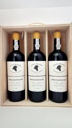 2020 Quinta do Castro do Saião Tinto - Fernando Van Zeller -, Nieuw