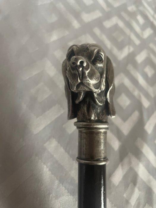 Wandelstok - Jachthond - Zilver 925/1000 - Italië, Hout,, Antiek en Kunst, Antiek | Zilver en Goud