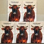 Malte. 2 Euro 2025 The Maltese Ox + Mdina (10 monete)