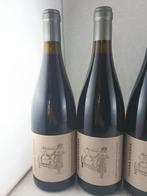 2024 Susana Esteban & Dirk Niepoort, Sidecar Tinto -, Nieuw