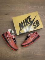 Nike SB - Low-top sneakers - Maat: Shoes / EU 44, US 10