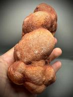 Oudste fossiel op aarde - geschat op ongeveer 1,1 miljard