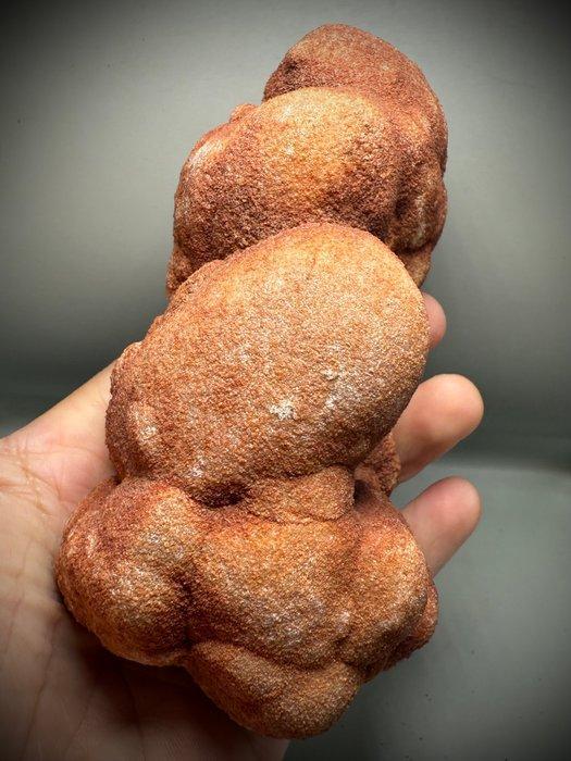 Oudste fossiel op aarde - geschat op ongeveer 1,1 miljard, Verzamelen, Mineralen en Fossielen