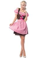 Dirndl Jurk Oktoberfest Roze Bruin, Verzenden, Nieuw
