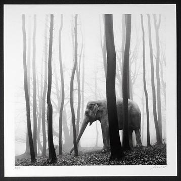 Frank Machalowski - tierwald#134