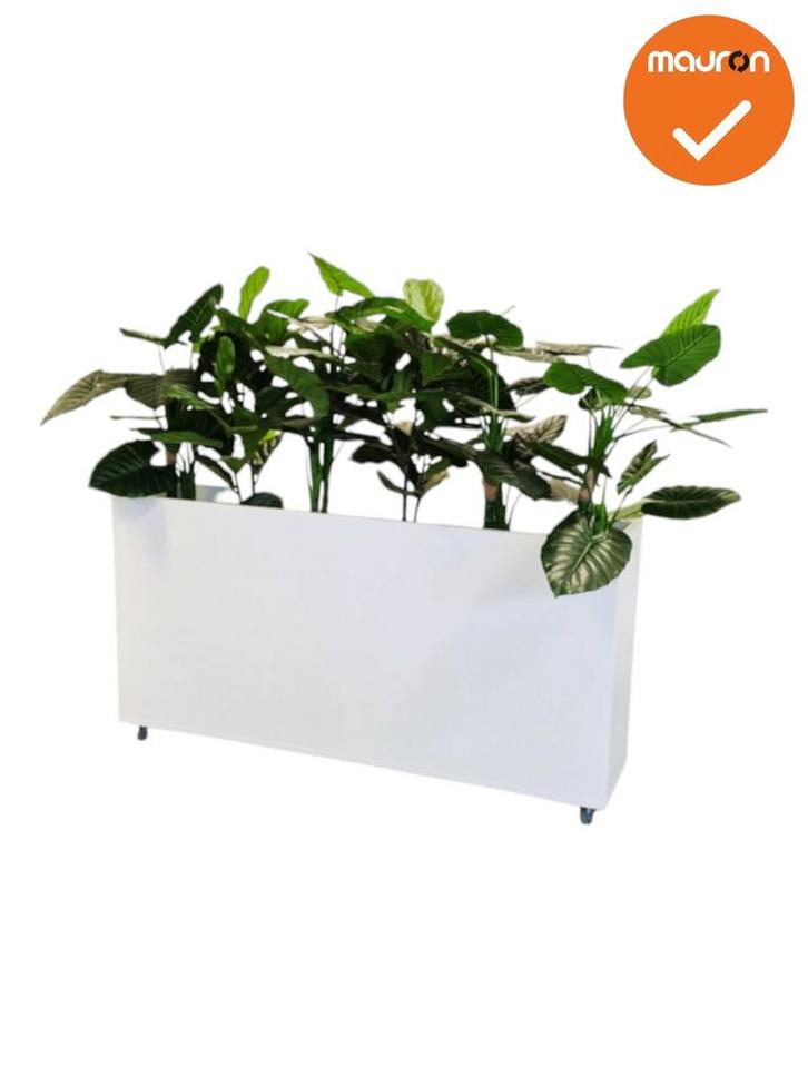 Verrijdbare plantenbak - 160x80cm - Wit, Zakelijke goederen, Kantoor en Winkelinrichting | Kantoormeubilair en Inrichting, Overige typen