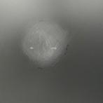 Samsung Galaxy Tab S10 FE 10,9 inch 128GB Tablets, Informatique & Logiciels, Verzenden