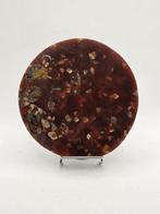 Ammoniet - Gefossiliseerde schelp - Aioloceras (Cleoniceras), Verzamelen