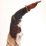 Eleanor Gabriel - NEPENTHES, Antiek en Kunst