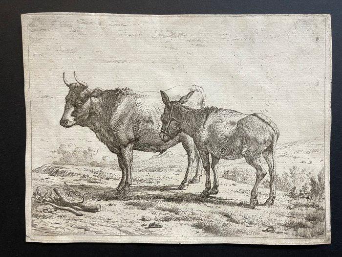 Karel Dujardin (1622-1678) - Il bue e lasino, Antiek en Kunst, Antiek | Overige Antiek