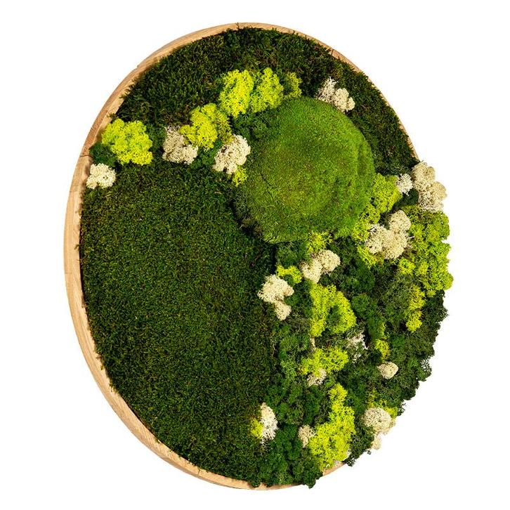 Mosschilderij Rond 80 cm Ongelakt Eiken - Floro, Huis en Inrichting, Woonaccessoires | Lijsten, Verzenden