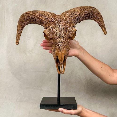SANS PRIX DE RÉSERVE - Crâne de bélier brun sur support, Antiek en Kunst, Kunst | Designobjecten