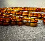 Tesbih-gebedskralen, tonvormig. - Barnsteen - Baltic amber -